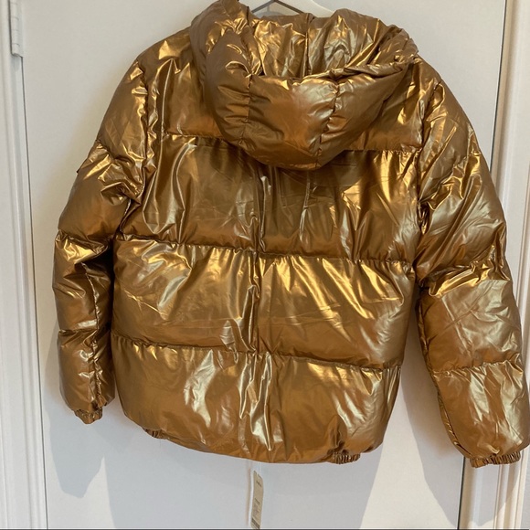 Jacket - Picture 3 of 5